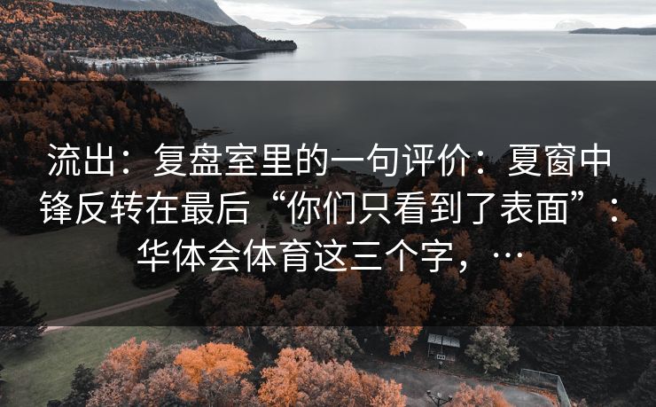 流出：复盘室里的一句评价：夏窗中锋反转在最后“你们只看到了表面”：华体会体育这三个字，…