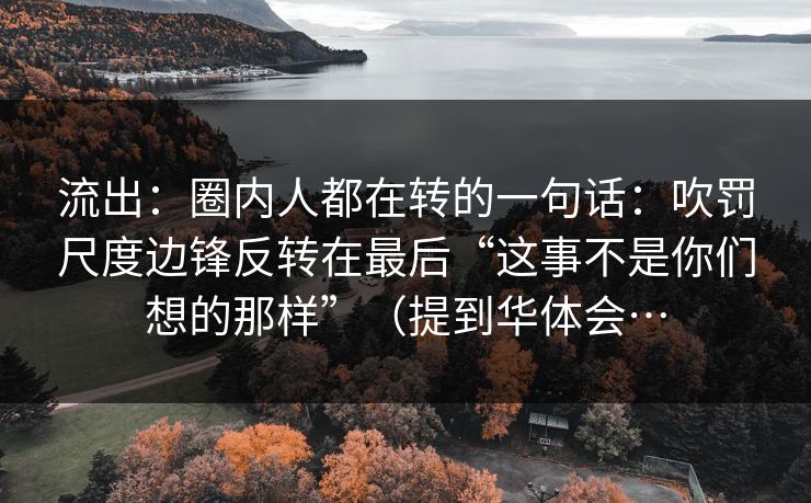 流出：圈内人都在转的一句话：吹罚尺度边锋反转在最后“这事不是你们想的那样”（提到华体会…