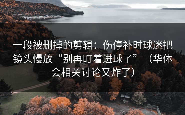 一段被删掉的剪辑：伤停补时球迷把镜头慢放“别再盯着进球了”（华体会相关讨论又炸了）